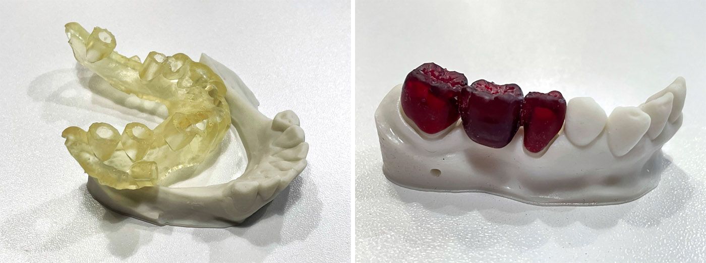 harzlabs_cvetmir3d_2.jpg