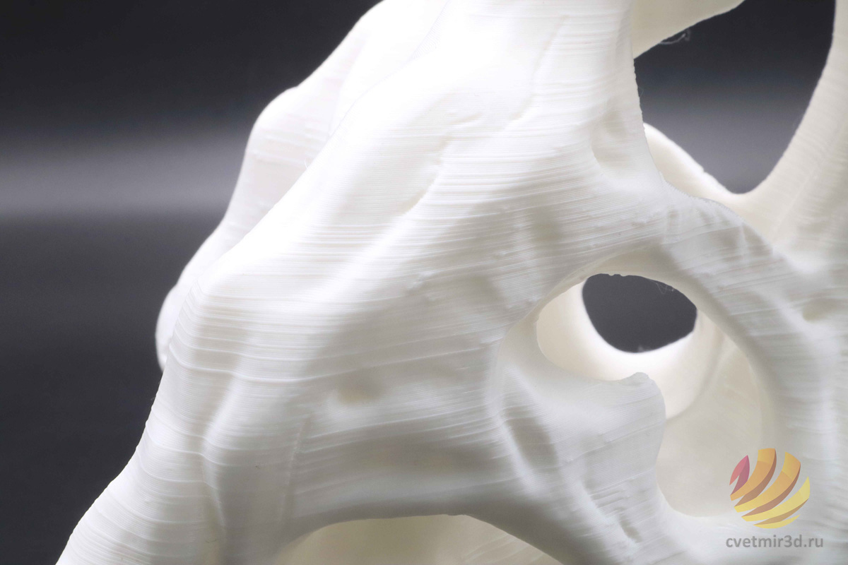 wanhao_d12 300_40.jpg wanhao_d12 300_40.jpg