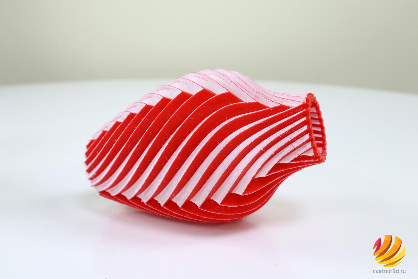 obzor_3d-printer_raise3d_e2_image35.jpeg