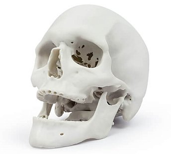 Фотополимерная смола HARZ Labs Demo Bone, костный (1кг)